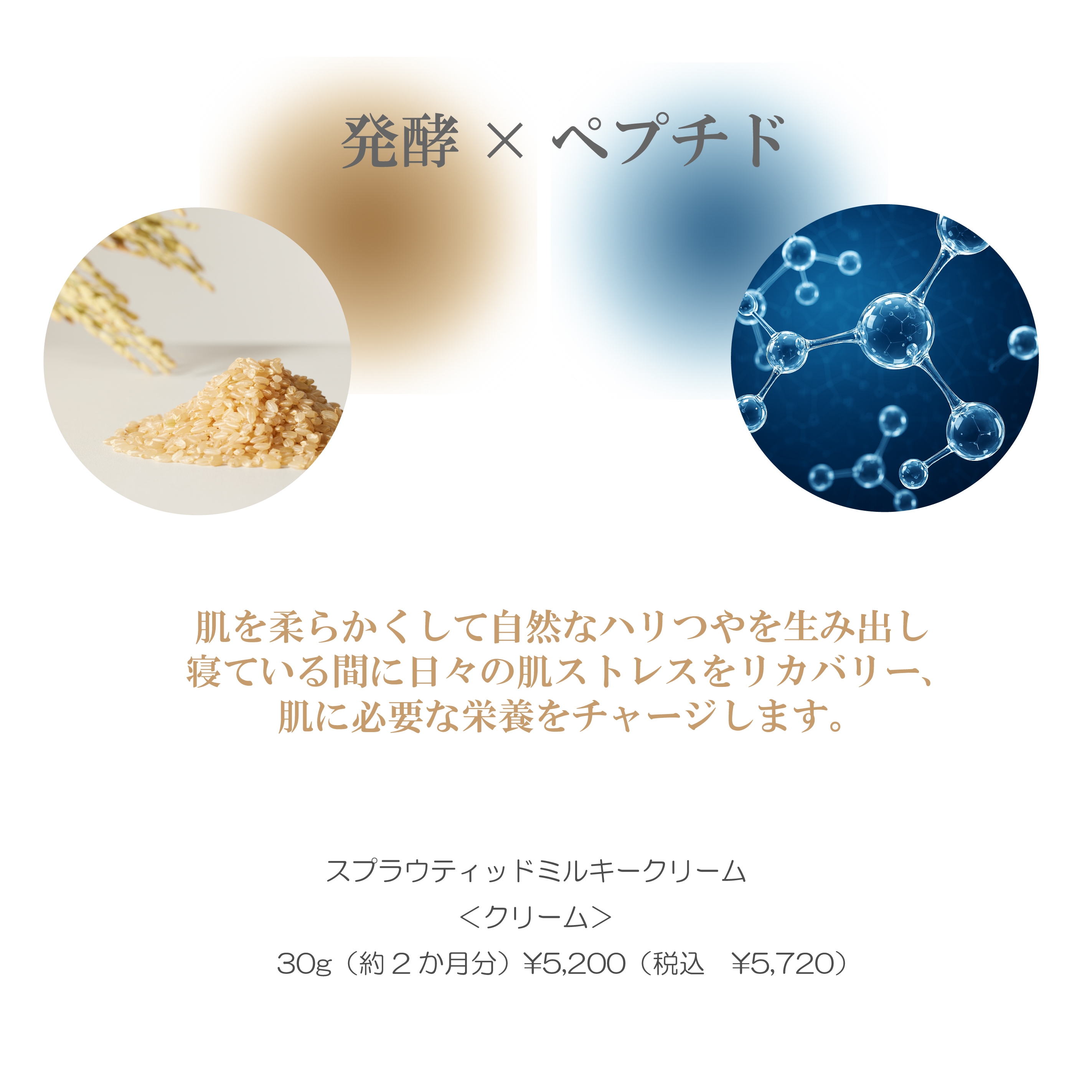 Sprouted Milky Cream(スプラウティッドミルキークリーム)