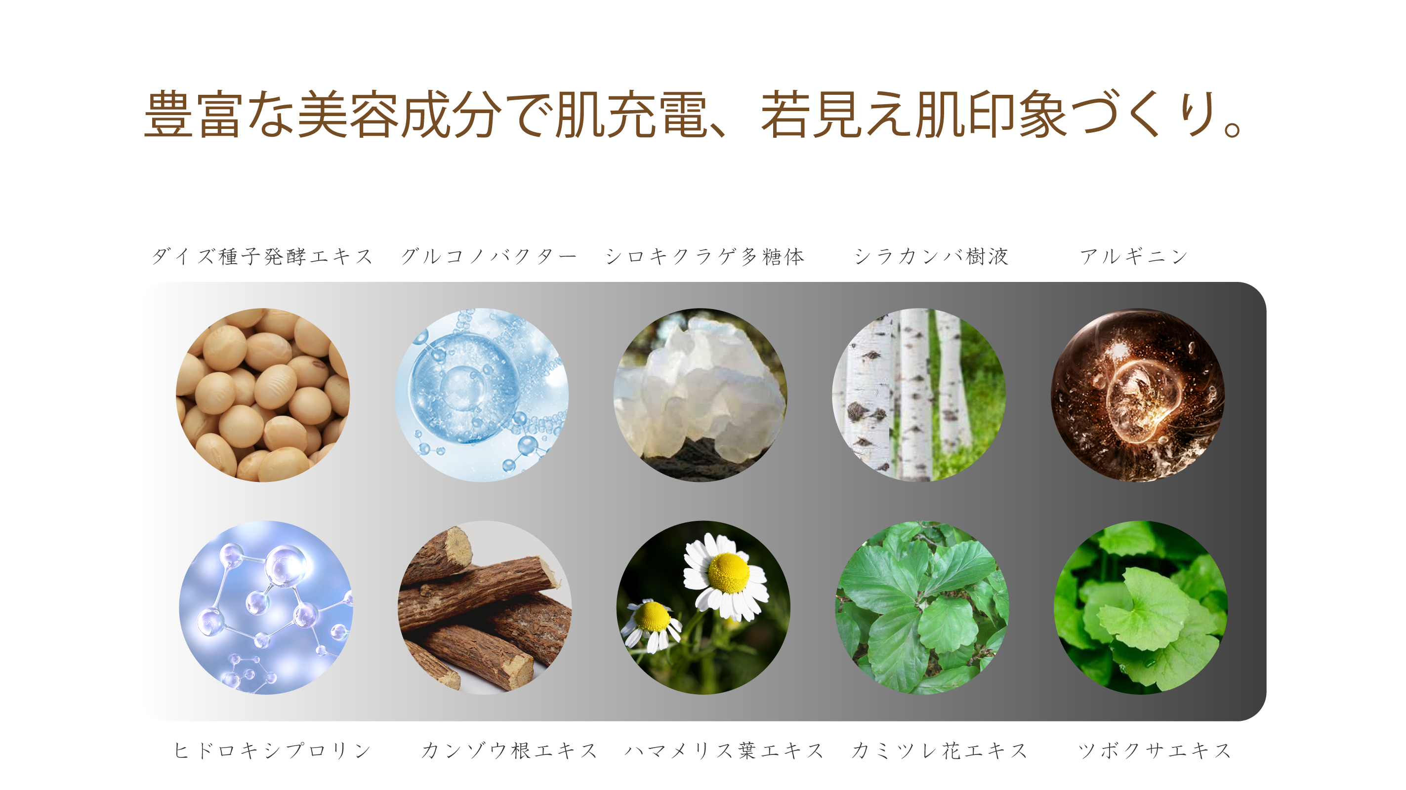 Sprouted Milky Cream(スプラウティッドミルキークリーム)