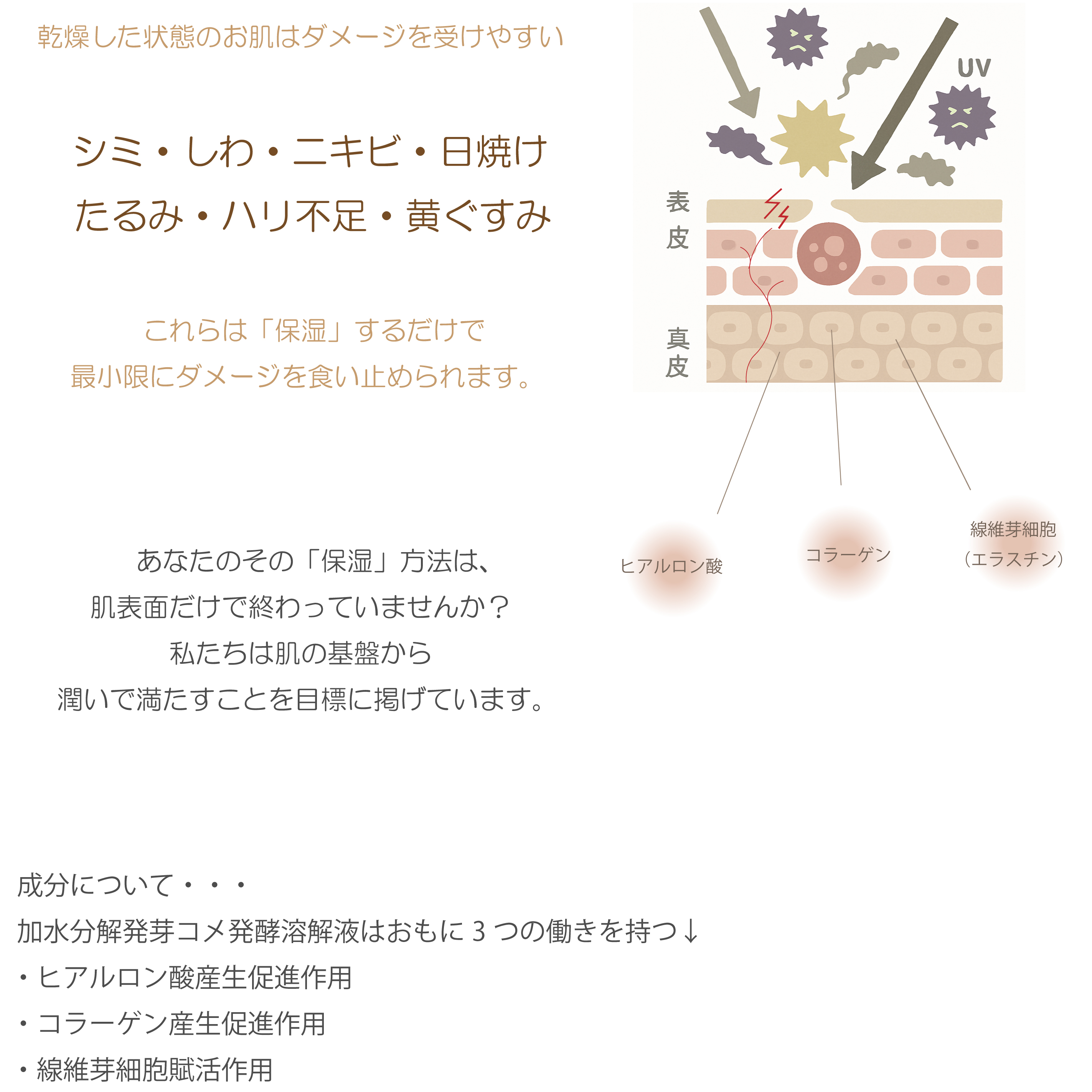 Sprouted Milky Drop　スプラウティッドミルキードロップ